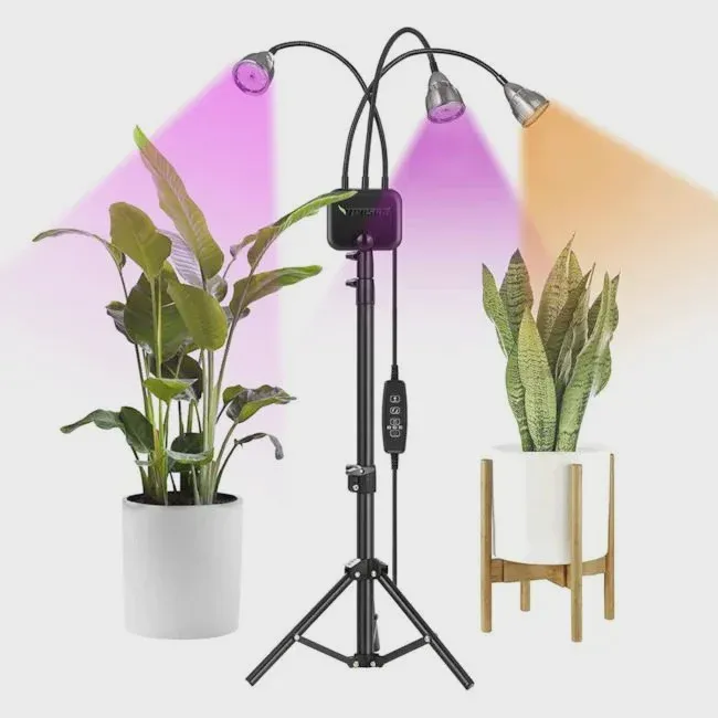 VIVOSUN Tri-Head Grow Light