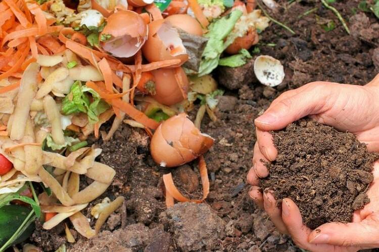Apartment Composting Without Worms: 5 Best Tips