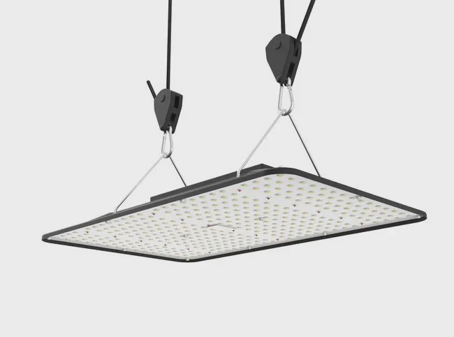 Cultiuana CT-100 LED