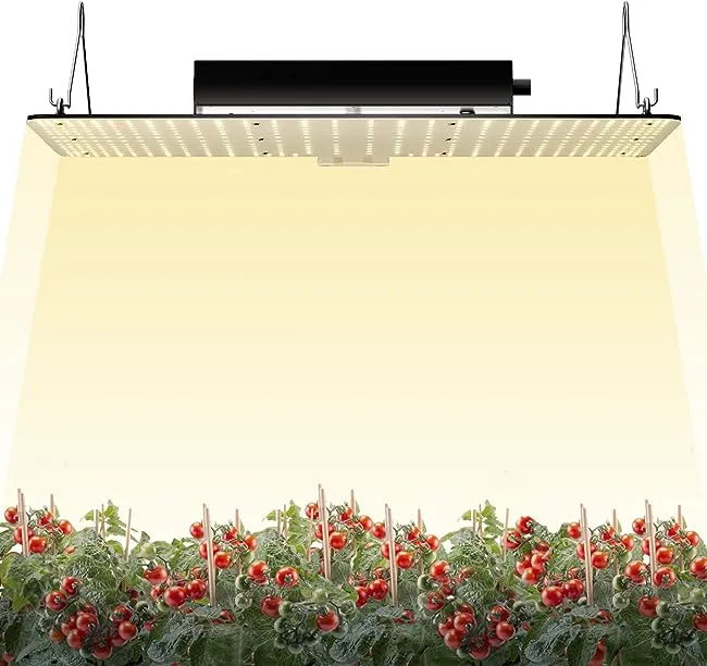 Product photograph from the original 2023 article: VEVOR LED grow light (2023 listing)