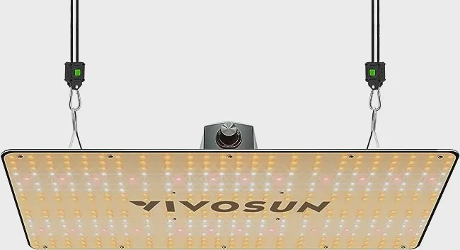 Product photograph from the original 2023 article: VIVOSUN VS2000
