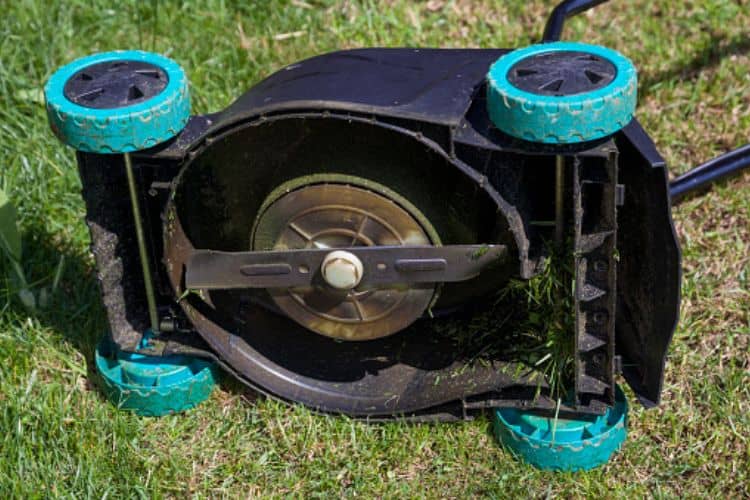 Best Mower Blade Type for Thick Grass: Fit & Safety