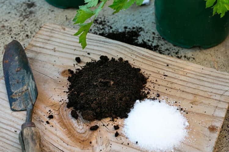 Can You Mix Epsom Salt With Fertilizer? (Blend Formula)