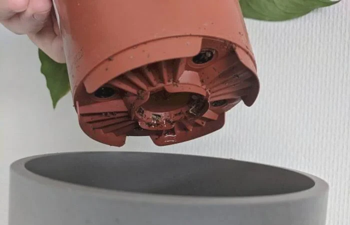 Pots with many drainage holes