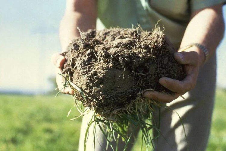 How Much Does A Yard Of Topsoil Weigh? The Answer Is Here