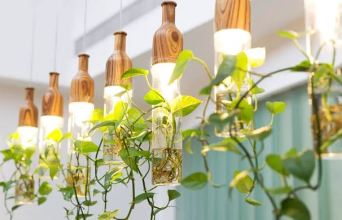 Setting Up Artificial Lights for Indoor Plants is a plus