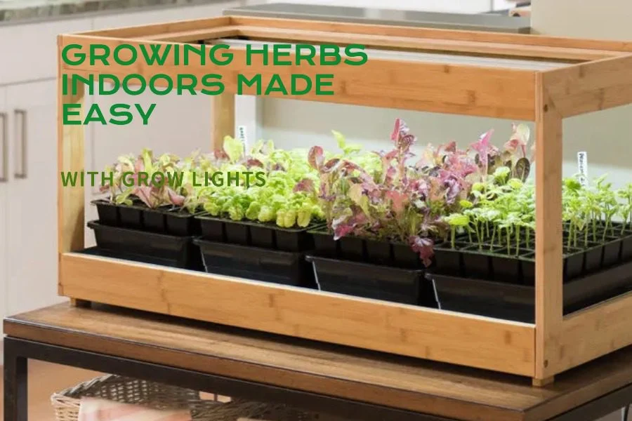 How to Grow Herbs Indoors With Grow Lights: A Practical Setup