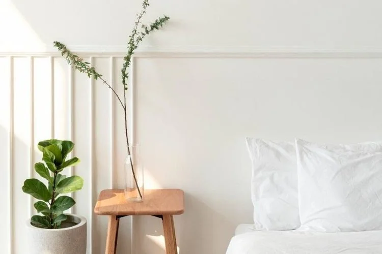 How To Treat Bacterial Infection Fiddle Leaf Fig (5 Tips)