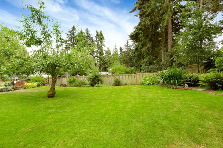 6 Tips For Starting Out In Landscape Design