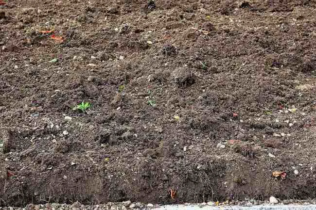 The soil can be more resistant to drought