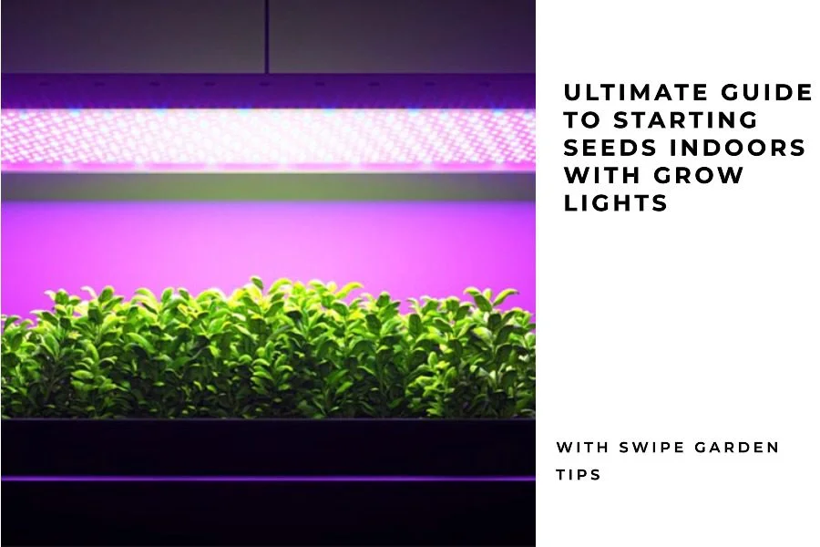 How To Start Seeds Indoors With Grow Lights: Ultimate Guide