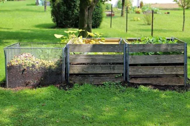 Add few inches of humus to composted soil before planting each spring