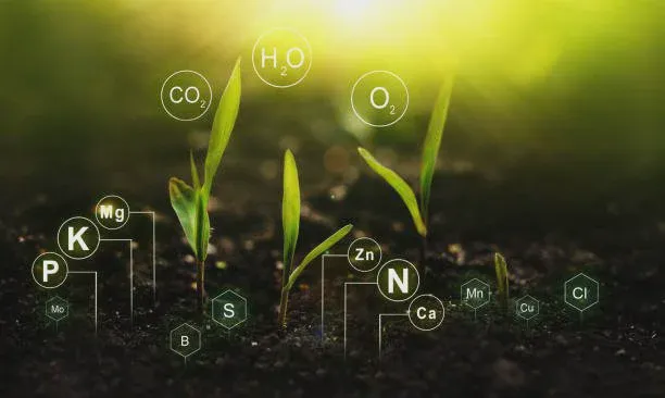 What are essential micro and macronutrients?