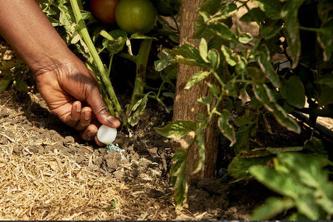 Plants can’t thrive without fertilizers.