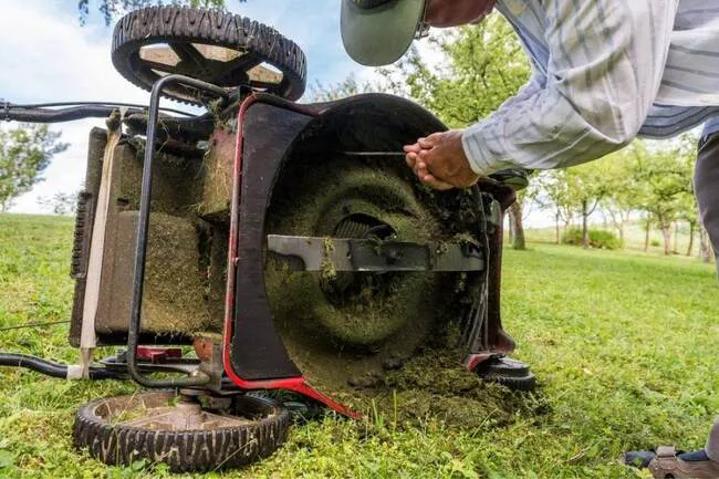 The mulching blade helps plants when lacking nutrients