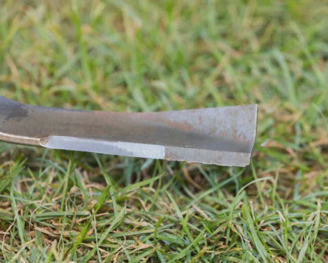 Regular blades