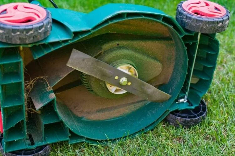 Mulching Blade Vs Regular Blade: Both Blades Comparison