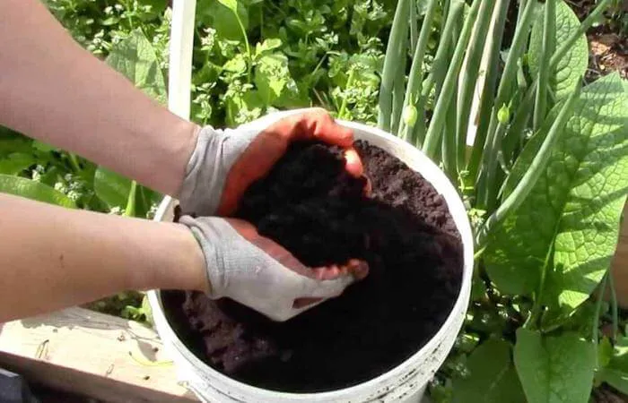 Homemade Fertilizer