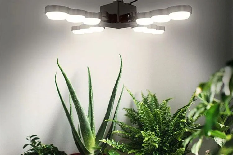 SANSI Grow Light Review: Advanced Plant Growth Technology