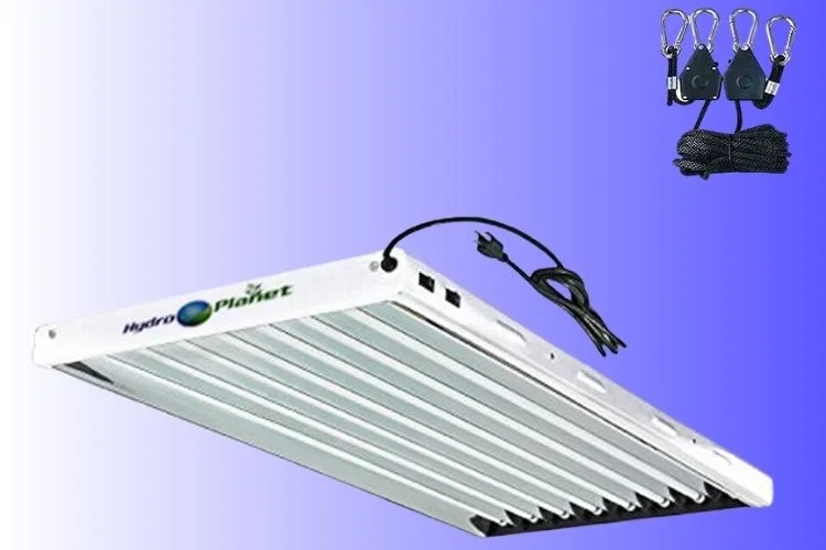 T5 Vs T8 Grow Lights: Exploring The Differences
