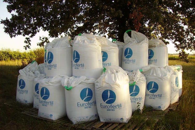 Types Of Fertilizers: What Can They Offer To Your Plants?