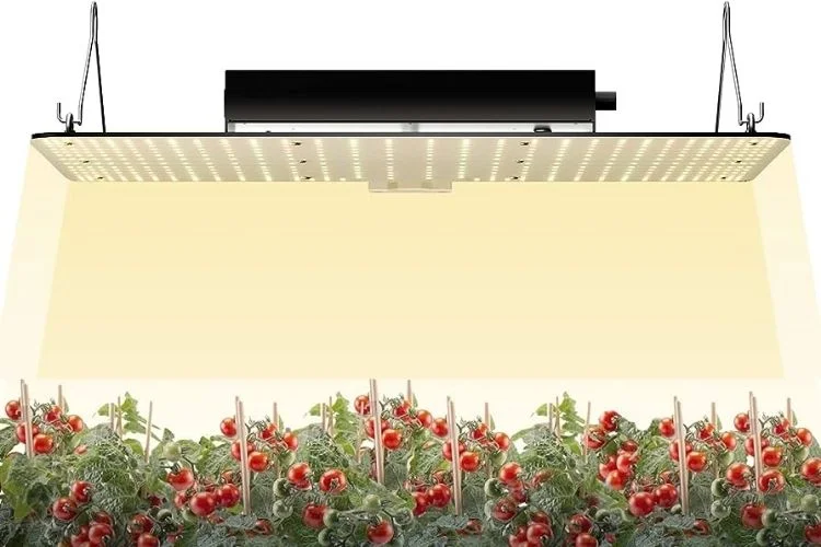 Vevor Grow Light Review: Maximizing Plant Growth