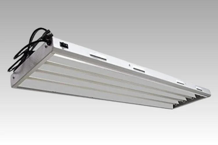 Vivosun Grow Light Review: Is It Really Worth The Price?