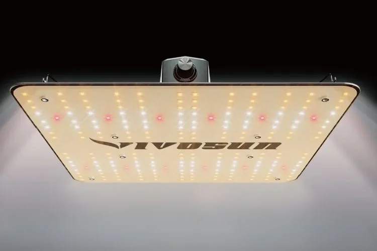 Vivosun VS1000 LED Grow Light Review: Is It A Good Product?
