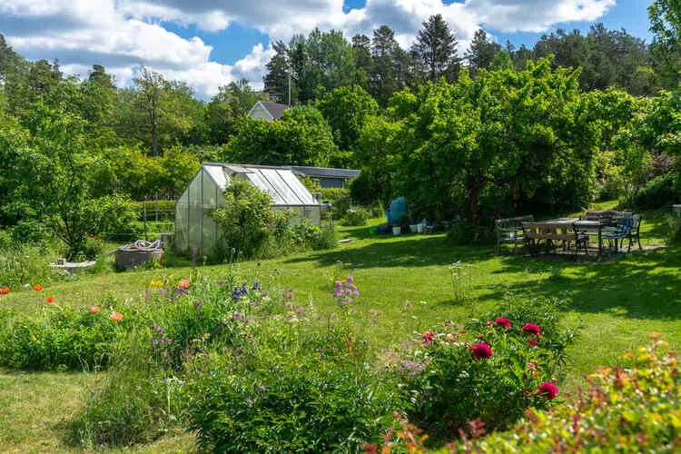 Garden captivates senses with fragrant blooms, and tactile plants.