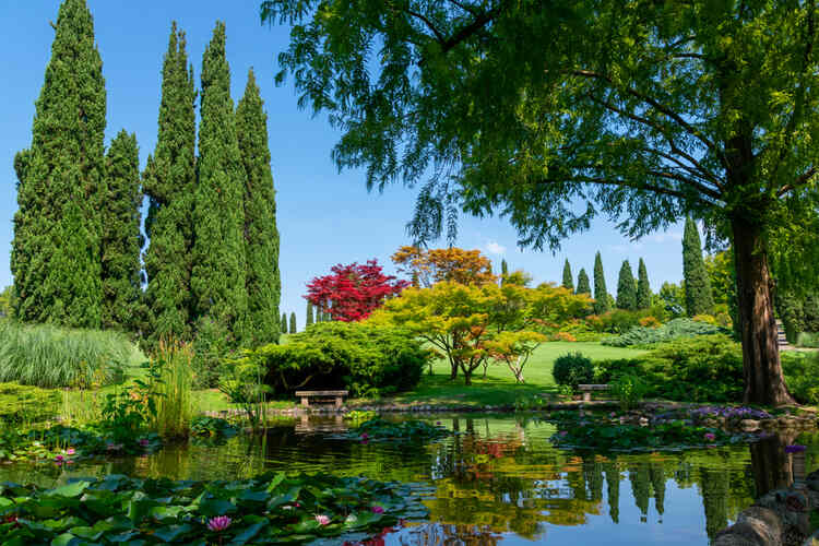 23 Ways To Make An Amazing Garden