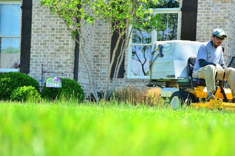 What Happens if You Don’t Water After Fertilizing? (Tips)