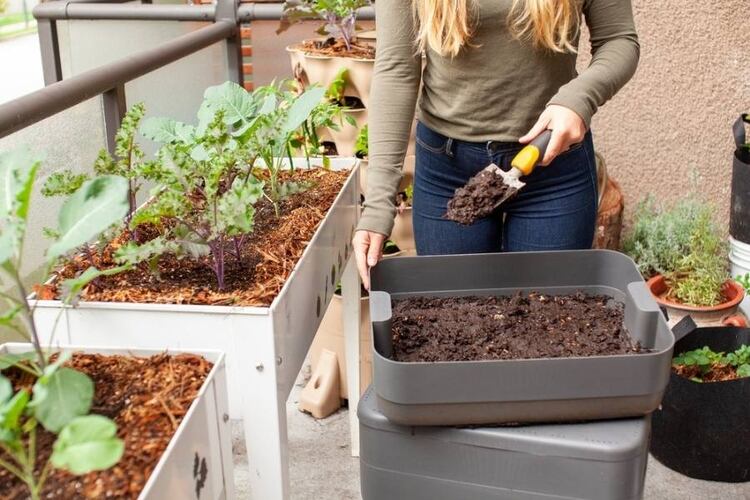 What Is The Best Ratio Of Compost? (Perfect Ratio)