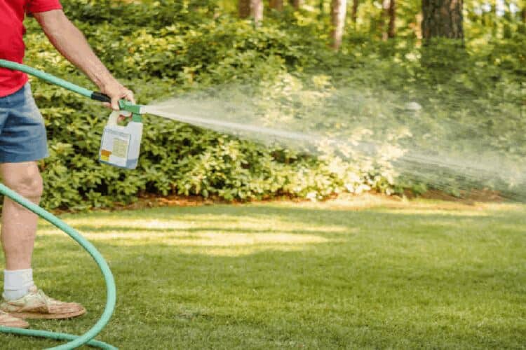 When Should I Apply Liquid Fertilizer To My Lawn? Ideal Time