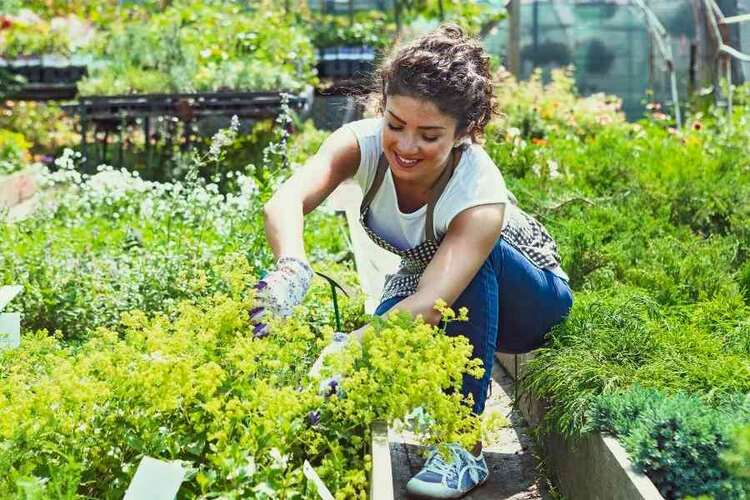 What To Wear When Gardening? 8 Essentials For Professionals!