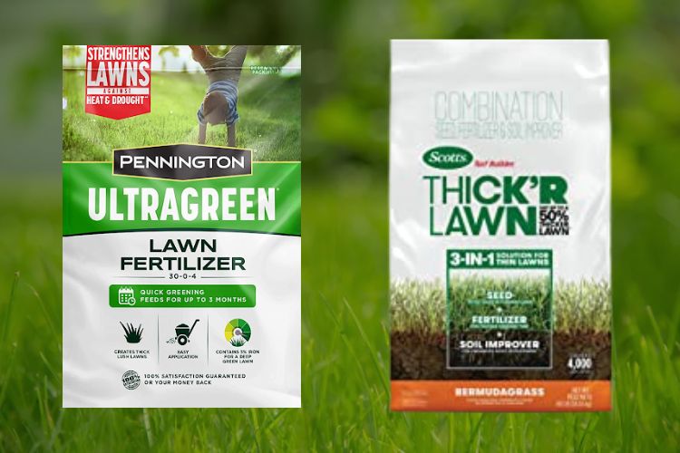 Top 6 Best Fertilizer For Bermuda Grass In 2023