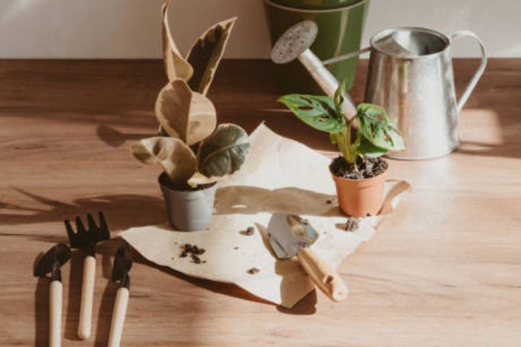 Top 15 Best Gardening Tool Sets In 2023