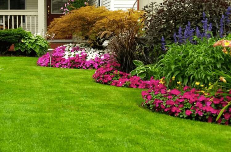 Make sure herb mix grows well in your soil.