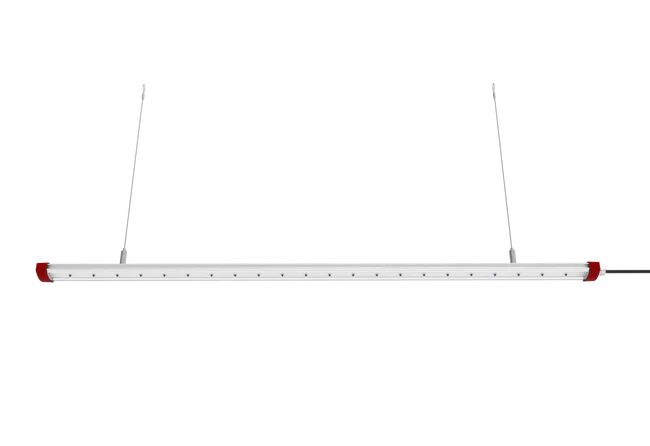 Cultiuana T50 UV Lighting Bar