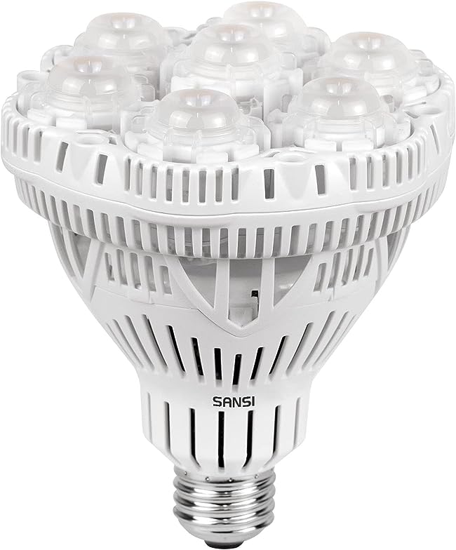 SANSI PAR30 LED Bulb