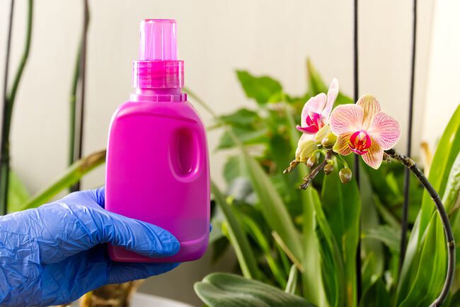 Dilute fertilizer before using in orchid pots