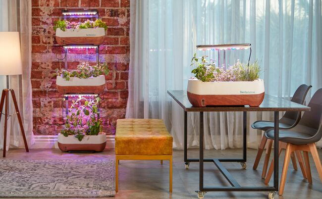 CRI measures grow lights' light quality, PPF and PPFD measure total light intensity.